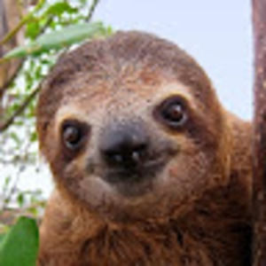 Meet your Posher, Jayne